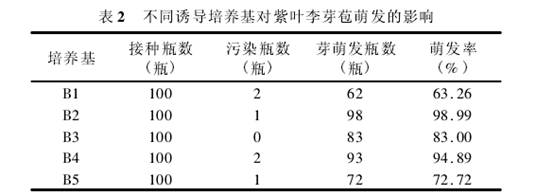 表2.jpg 表2.jpg